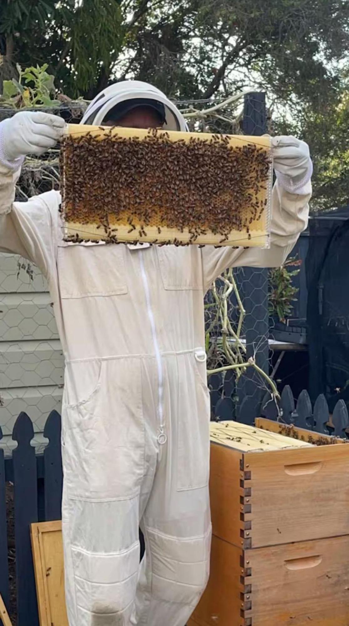 Hotel Bee House Dinmore Zewnętrze zdjęcie